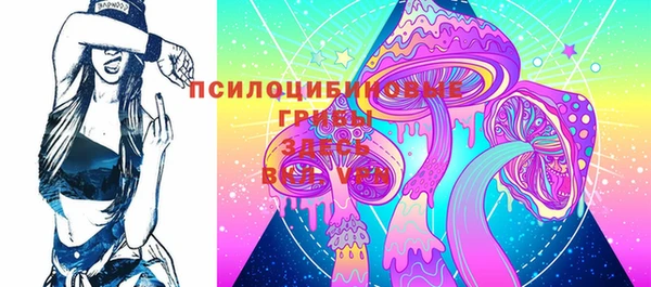 PSILOCYBIN Балабаново