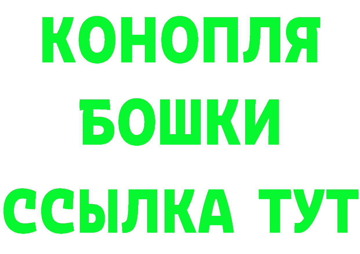 ТГК концентрат вход маркетплейс OMG Бикин